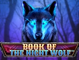 Book Of The Night Wolf game thumbnail
